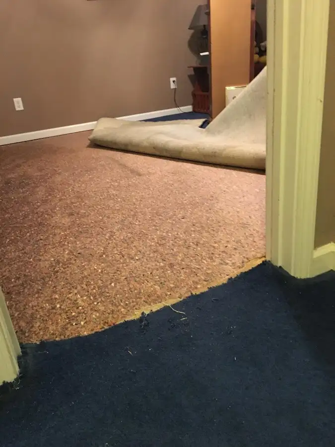Carpet pad removal revealing water damage during Water Mitigation Services in Whitehall